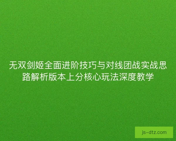 无双剑姬全面进阶技巧与对线团战实战思路解析版本上分核心玩法深度教学
